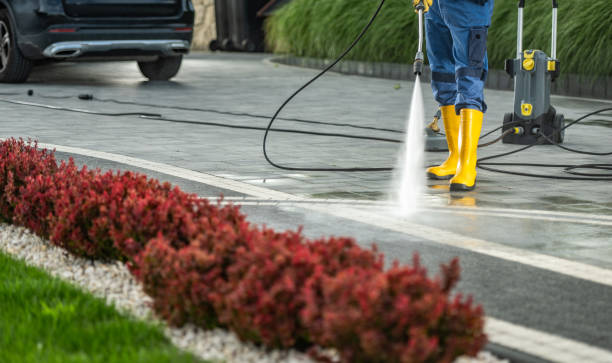 Best Fence Cleaning  in Plantation, FL